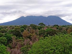 Inilah Afrika Ala Jawa