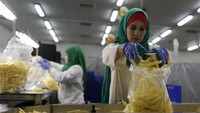 Ada Pabrik Kentang Goreng, Warga Gaza Tak Nganggur Lagi