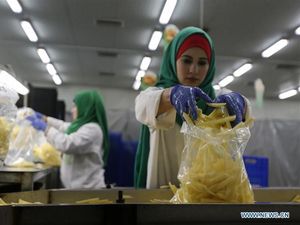 Ada Pabrik Kentang Goreng, Warga Gaza Tak Nganggur Lagi Ada Pabrik Kentang Goreng, Warga Gaza Tak Nganggur Lagi