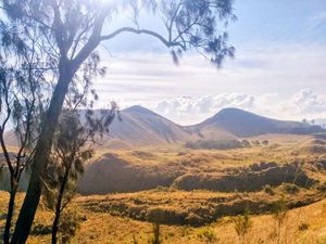 Percaya Nggak, Tempat Secantik Ini Ada di Bondowoso