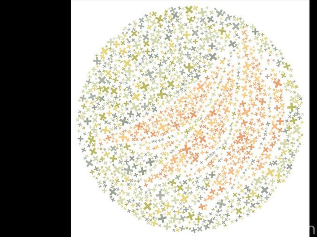 Tes Buta Warna dengan Buah-buahan, Bisakah Menemukan Anggur dan Pisang? Tes Buta Warna dengan Buah-buahan, Bisakah Menemukan Anggur dan Pisang?