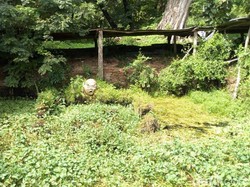 Mitos Sendang Beji, Mancing Ikan Boleh Tapi Dilarang Dimakan