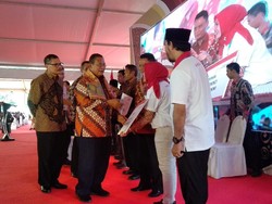 Genjot UMKM, Pemerintah Tebar KUR Bunga 7% ke Peternak