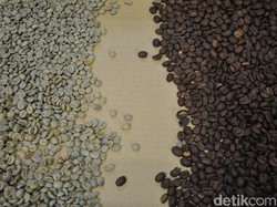 Eksportir Kopi Girang Dolar AS Nyaris Tembus Rp 16.000