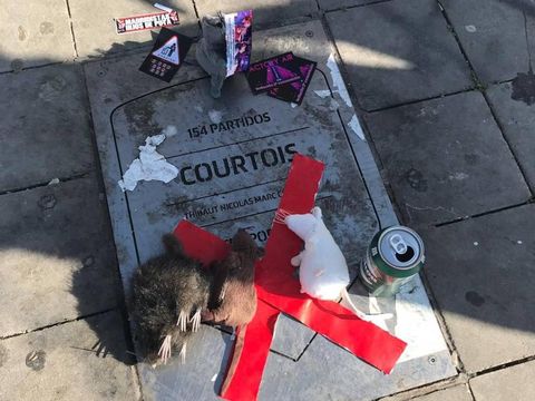 Courtois Disambut Tikus di Wanda Metropolitano