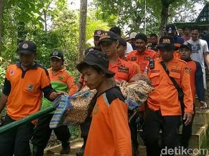 4 Hari Tersesat di Hutan, Nenek 75 Tahun Ini Ditemukan Selamat