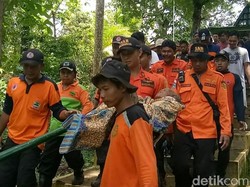 4 Hari Tersesat di Hutan, Nenek 75 Tahun Ini Ditemukan Selamat
