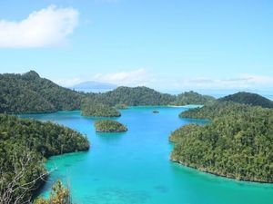Tak Usah Ragu untuk Liburan ke Raja Ampat