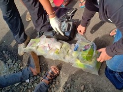 BNN Tangkap Penyelundup 11 Kg Sabu di Pelabuhan Banten