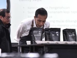 Jokowi Belajar di Kelas Kopi, Apa Saja Pekerjaannya?