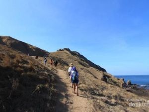 Ini Alasan Kenapa Pulau Padar Begitu Tinggi Kunjungan