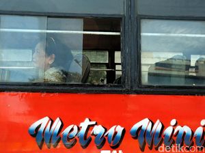 Sejumlah Pemilik Metromini Lapor Polisi, Ditipu Kontrak Palsu Gabung TransJ Sejumlah Pemilik Metromini Lapor Polisi, Ditipu Kontrak Palsu Gabung TransJ