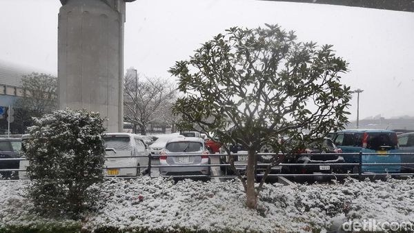 Potret Langka Ketika Tokyo Tertutup Salju