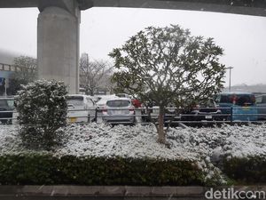 Potret Langka Ketika Tokyo Tertutup Salju