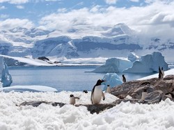 Mengenal Pulau Bulan Sabit di Kutub Selatan