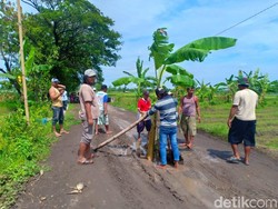 Jalan Rusak Parah, Warga Cari Perhatian dengan Tanam Pisang
