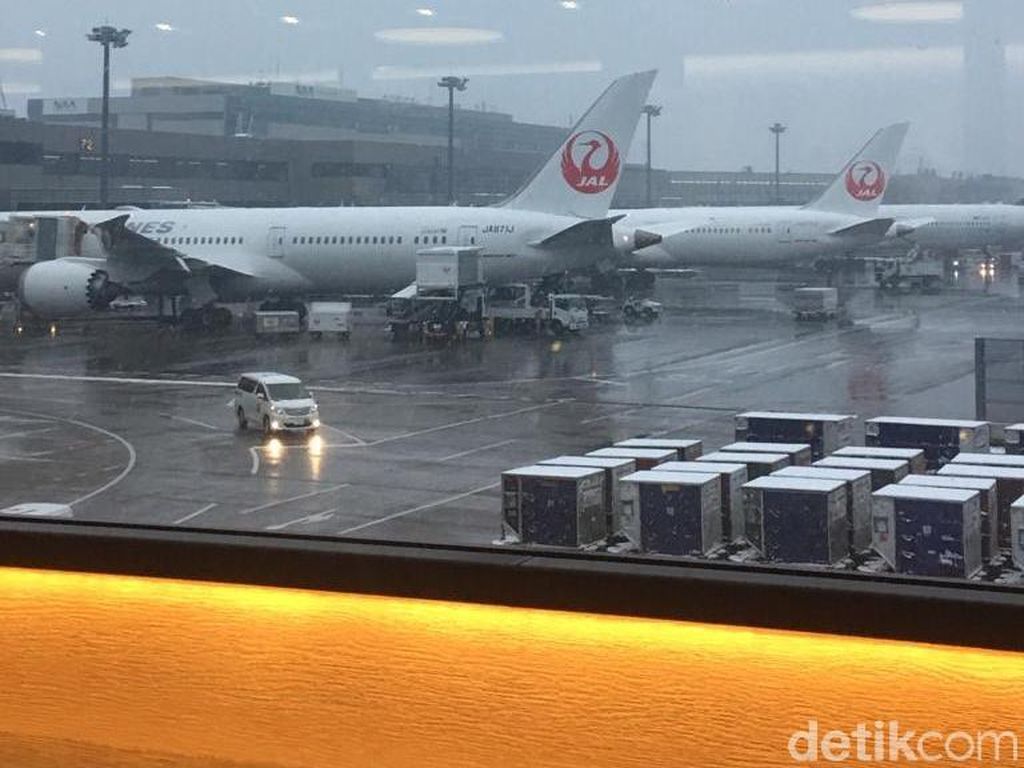 Pemandangan Tokyo yang Tertutup Salju Putih Pemandangan Tokyo yang Tertutup Salju Putih