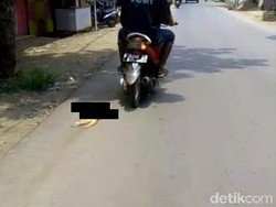 Polisi Buru Satu Lagi Pelaku Penyeret Kucing di Pekalongan