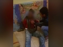 Video Interogasi Pencuri Pakai Ular, Teriak-teriak Ketakutan