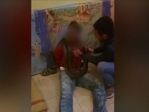 Video Interogasi Pencuri Pakai Ular, Teriak-teriak Ketakutan Video Interogasi Pencuri Pakai Ular, Teriak-teriak Ketakutan