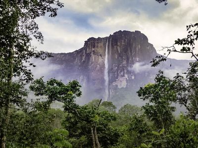 Foto: Malaikat Jatuh yang Indah