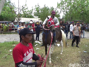 Kuda Pacuan Tabrak Penonton Bocah hingga Tewas