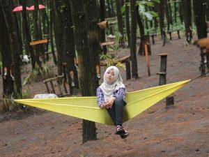 Menikmati Keindahan 5 Hutan Pinus di Kota Batu Malang