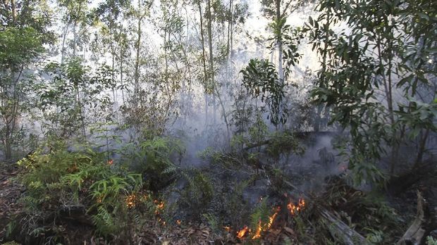 Tahun Politik, Riau Siaga Darurat Karhutla Delapan Bulan