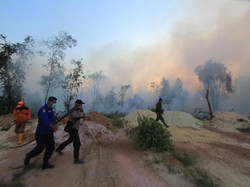 Kebakaran Hutan di Riau Meluas, Ribuan Masker Dibagikan ke Warga