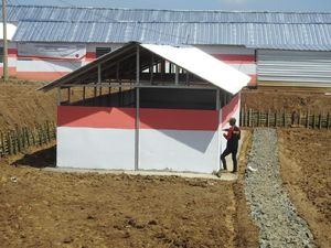 BNI Realisasikan 1.150 Unit Huntara Bagi Korban Bencana