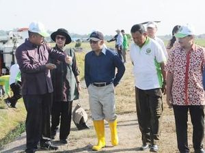 Padi Indonesia Sukses Ditanam di Brunei Darussalam