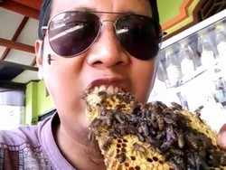 Waduh! Pria Ini Lahap Madu dari Sarang yang Masih Banyak Lebahnya