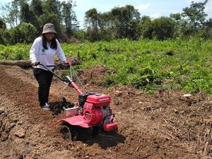Srikandi Penjaga Gambut dari Mantangaia
