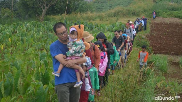 Kegiatan Hiking di Hiking Bocah
