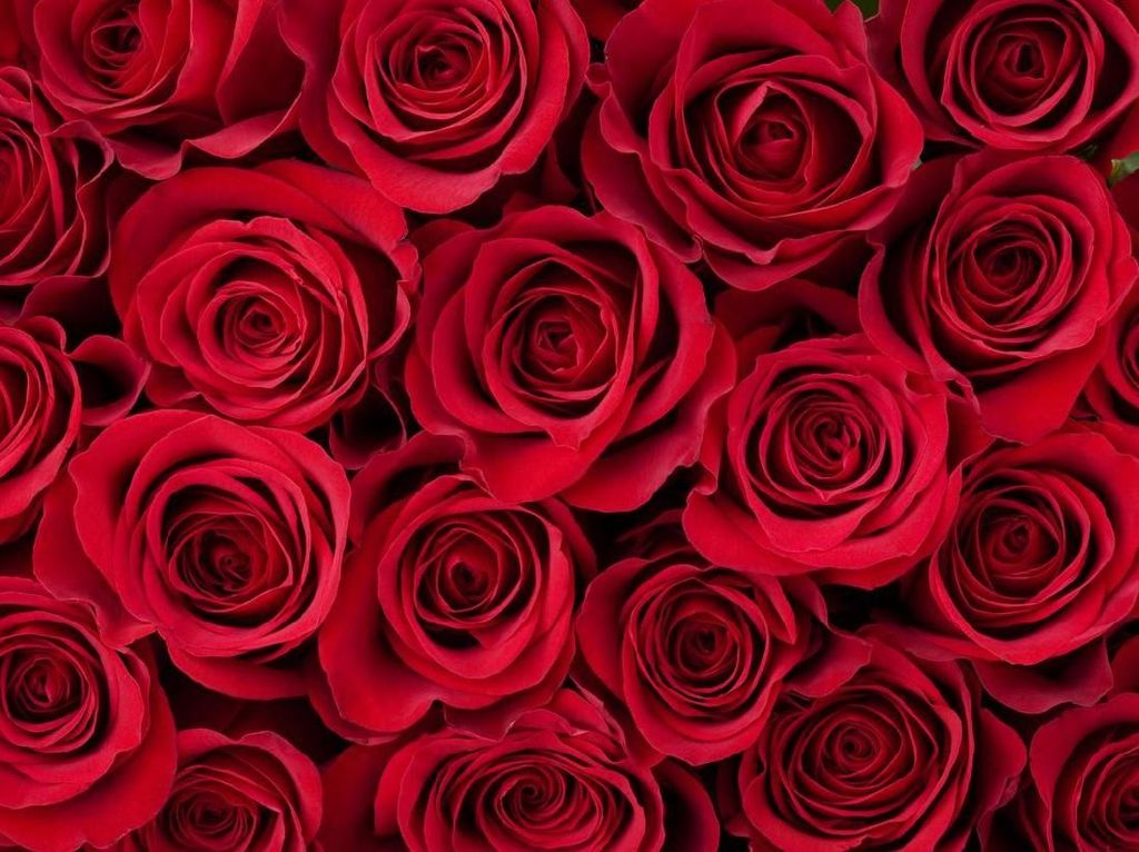 Warga Arab Saudi Siap Rayakan Hari Valentine yang Tadinya Haram Warga Arab Saudi Siap Rayakan Hari Valentine yang Tadinya Haram