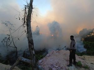 Moeldoko: Kebakaran Hutan Sudah Berhasil Kita Tekan