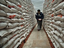 Tambah Kapasitas, Bulog Rogoh Rp 4,9 M untuk Perluasan Gudang