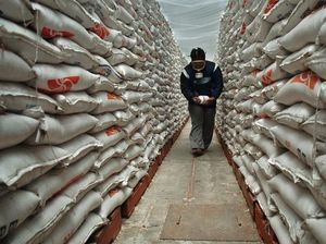 Tambah Kapasitas, Bulog Rogoh Rp 4,9 M untuk Perluasan Gudang Tambah Kapasitas, Bulog Rogoh Rp 4,9 M untuk Perluasan Gudang