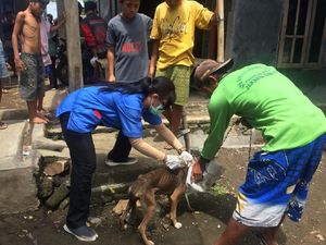 22 Warga Digigit Anjing, Pemkab Bandung Barat Vaksinasi Anjing
