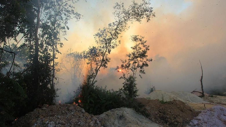 Kebakaran Landa Hutan Lindung di Sabang