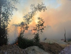 TNI Kirim Pasukan Bantu Atasi Karhutla di Riau