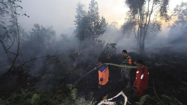 Karhutla Riau Capai 1.136 Hektare dalam Dua Bulan
