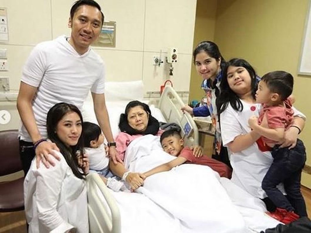 Berbagai Faktor Risiko Kanker Darah, Penyakit yang Diidap Ani Yudhoyono Berbagai Faktor Risiko Kanker Darah, Penyakit yang Diidap Ani Yudhoyono