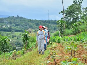 Hiking Bocah, Kegiatan Seru di Alam agar Anak Tak Selalu ke Mal