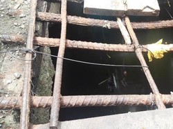 2 Buaya Muncul di Gorong-gorong Dekat Amplaz