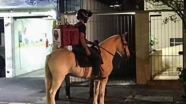 Kelakuan Tukang Antar Paket yang Bikin Ngakak