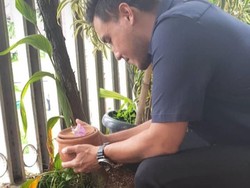 Hamish Daud Langsung Kubur Ari-ari Zalina Sendiri