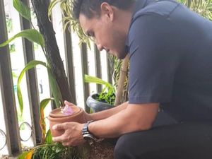 Hamish Daud Langsung Kubur Ari-ari Zalina Sendiri Hamish Daud Langsung Kubur Ari-ari Zalina Sendiri