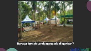 Apakah Kamu Punya Ingatan Fotografis? Coba Tes Ini untuk Membuktikannya