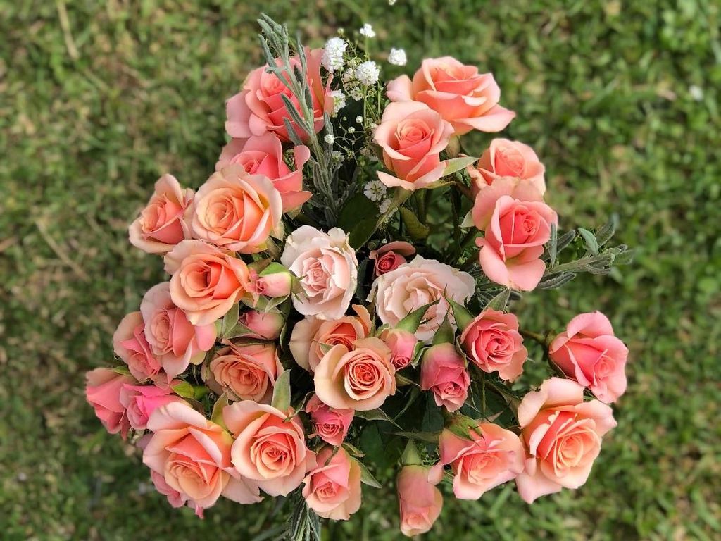 Viral, Pria Beri Kekasihnya Kado Valentine Buket Bunga dari Uang Rp 31 Juta Viral, Pria Beri Kekasihnya Kado Valentine Buket Bunga dari Uang Rp 31 Juta